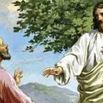 Lire la suite à propos de l’article Lectures du dimanche 24 août 2014